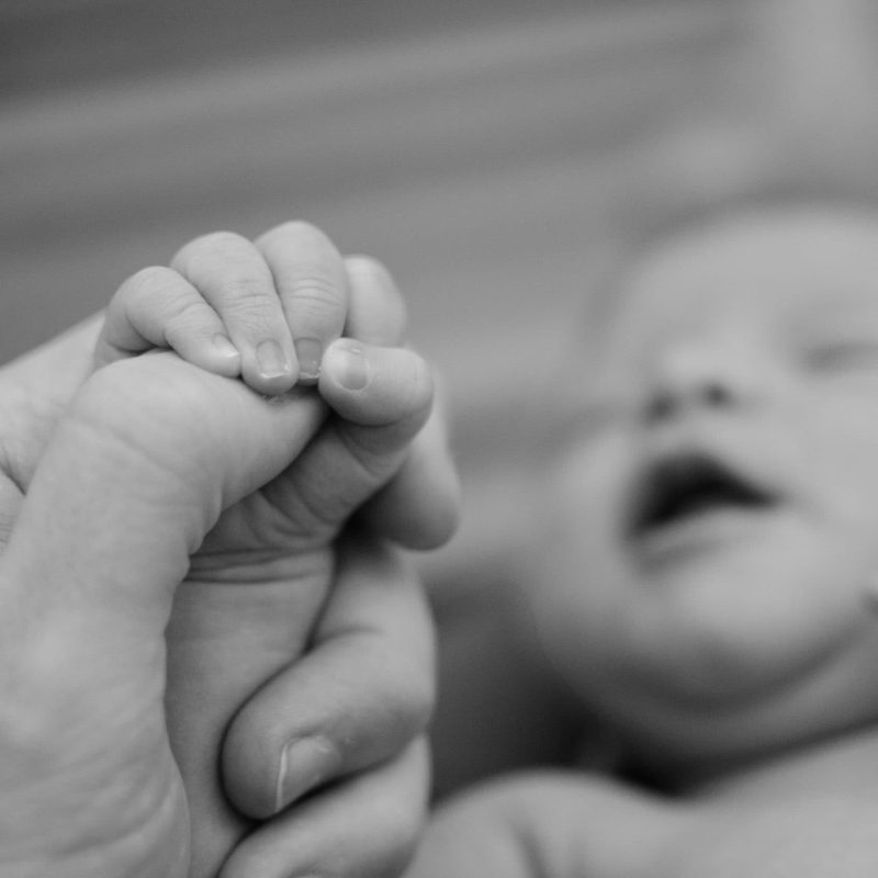 Black and white photo of holding fingers of the newborn baby (Emotions) baby,parenthood,hand,finger,mother,father,love,daughter,newborn